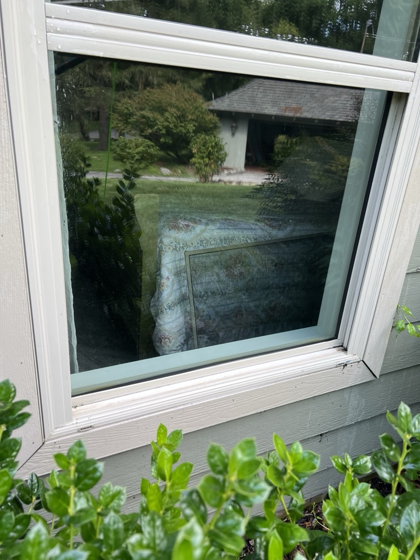 Spot-free glass after cleaning — clear view to the garden beyond